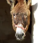 L'ariade بيت ضيافة 3*