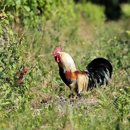 L'ariade 3* Monpazier