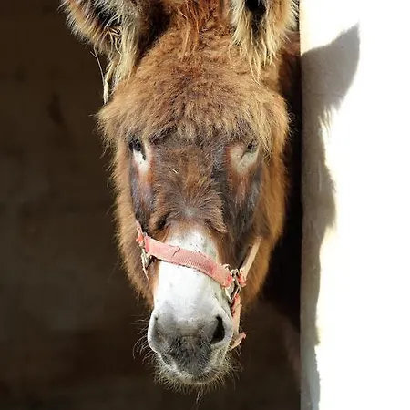 L'ariade Pensionat 3*