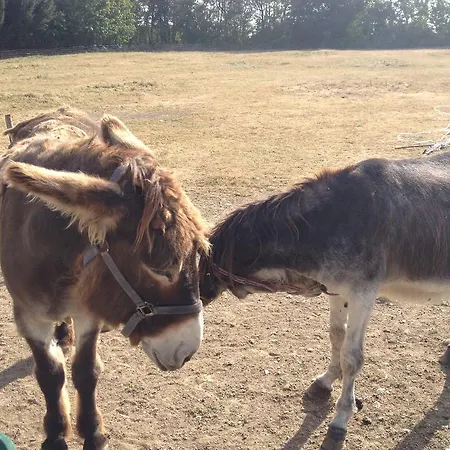 Pensionat L'ariade Monpazier