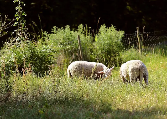 L'ariade 게스트하우스 몽파지에