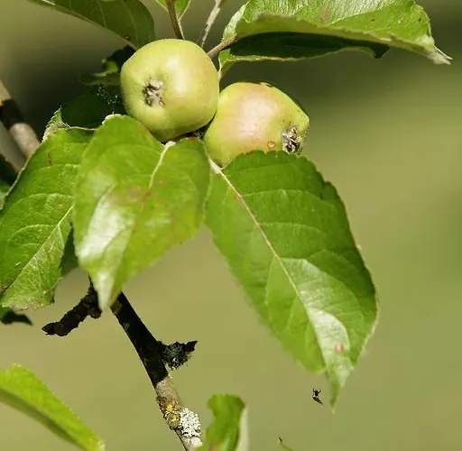 게스트하우스 L'ariade 몽파지에