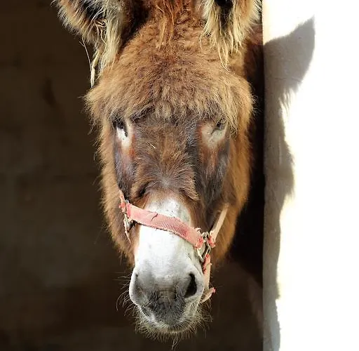 L'ariade 게스트하우스 3*