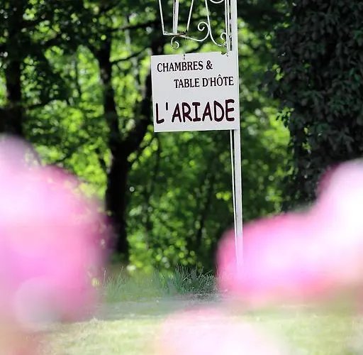 게스트하우스 L'ariade 3*