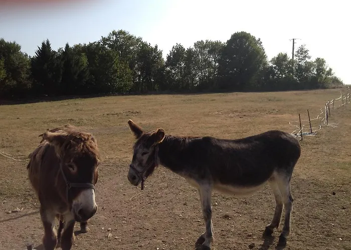 게스트하우스 L'ariade